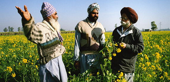 Agricultores locales