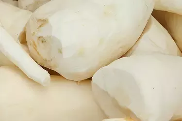 planta de yuca afronta problema trabajo infantil empoderamiento de la mujer