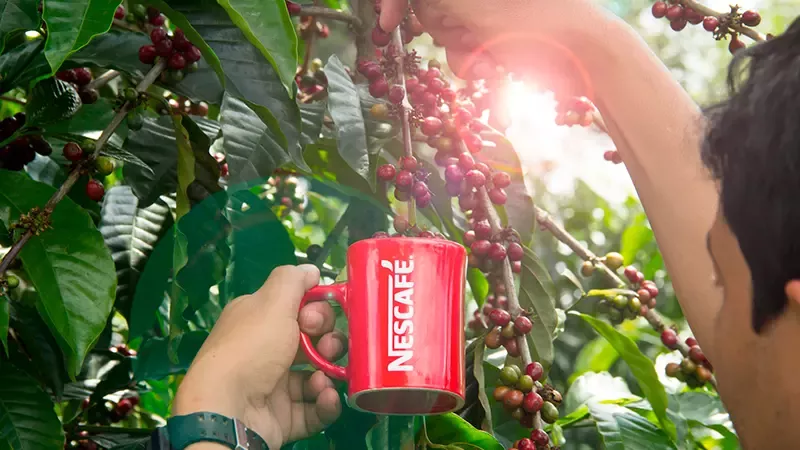 Plan Nescafé® 2030