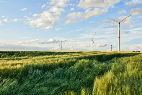 Campo verde con torres eólicas