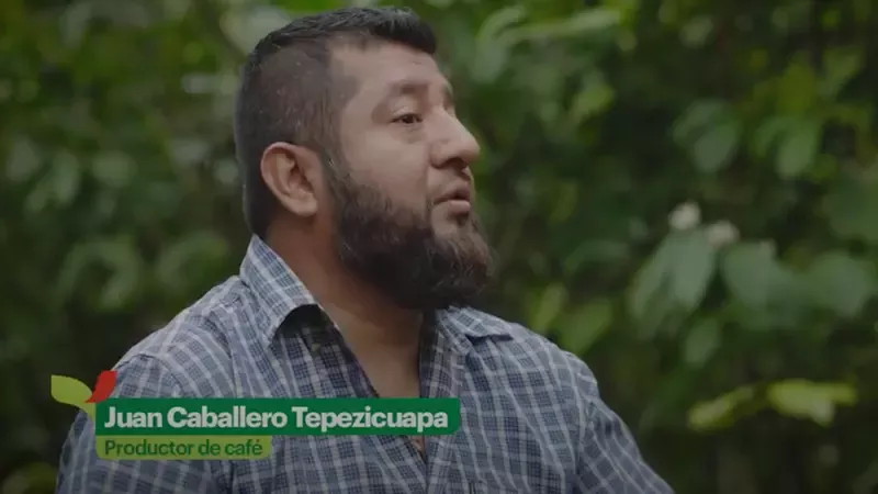 Juan Caballero Tepezicuapa, Productor de Café