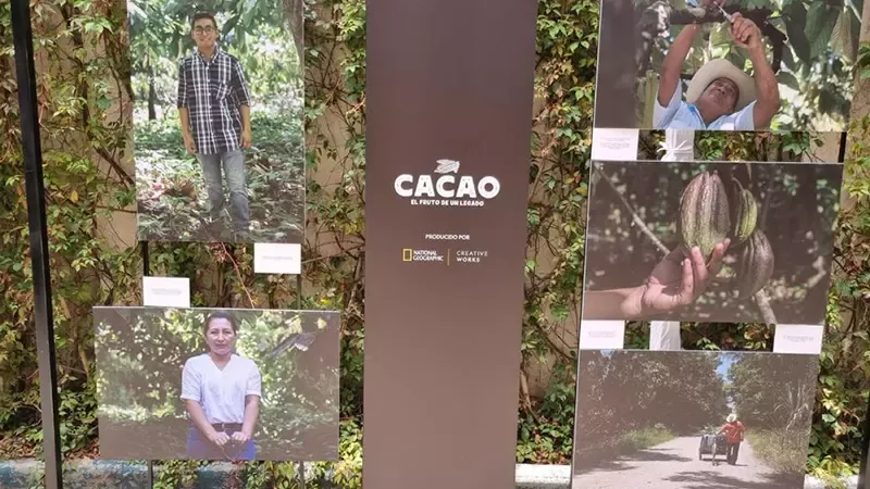 Documental "Cacao"