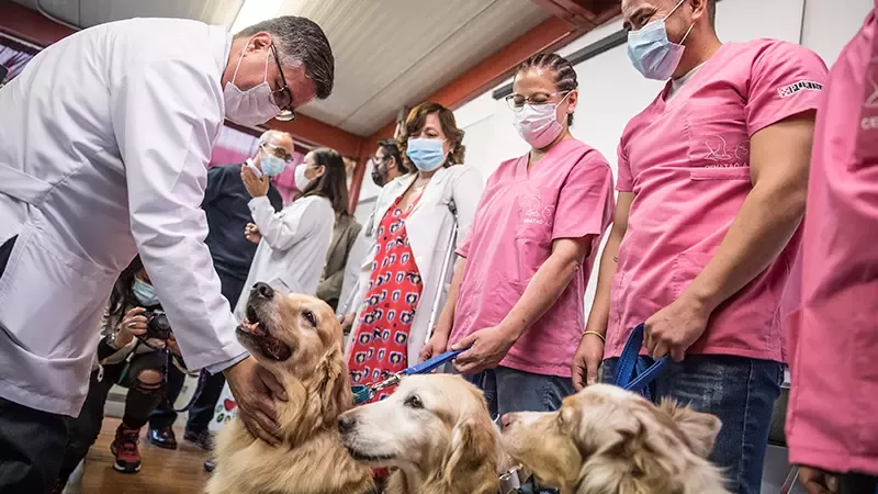 Medicos de la iniciativa Purina Juntos es Mejor