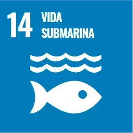 ODS: Vida submarina