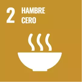 ODS: Hambre Cero