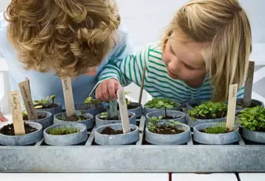 Niños sembrando plantas