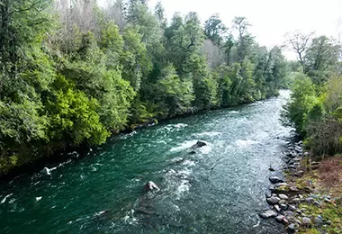 Río rodeado de árboles y piedras