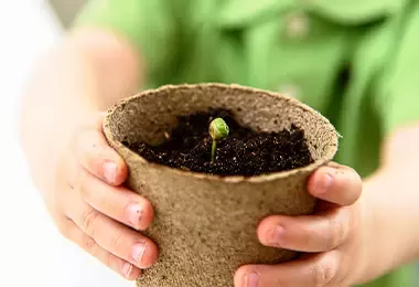 Niño mostrando planta