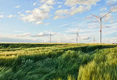 helices eolicas en un campo verde