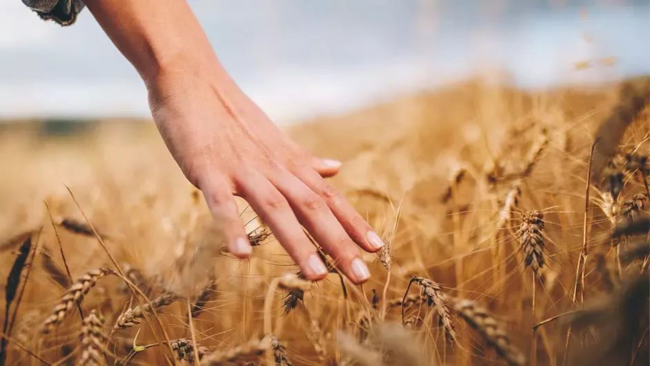 Nestlé sigue apostando por el campo