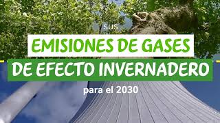 Cero Emisiones Neta al 2050