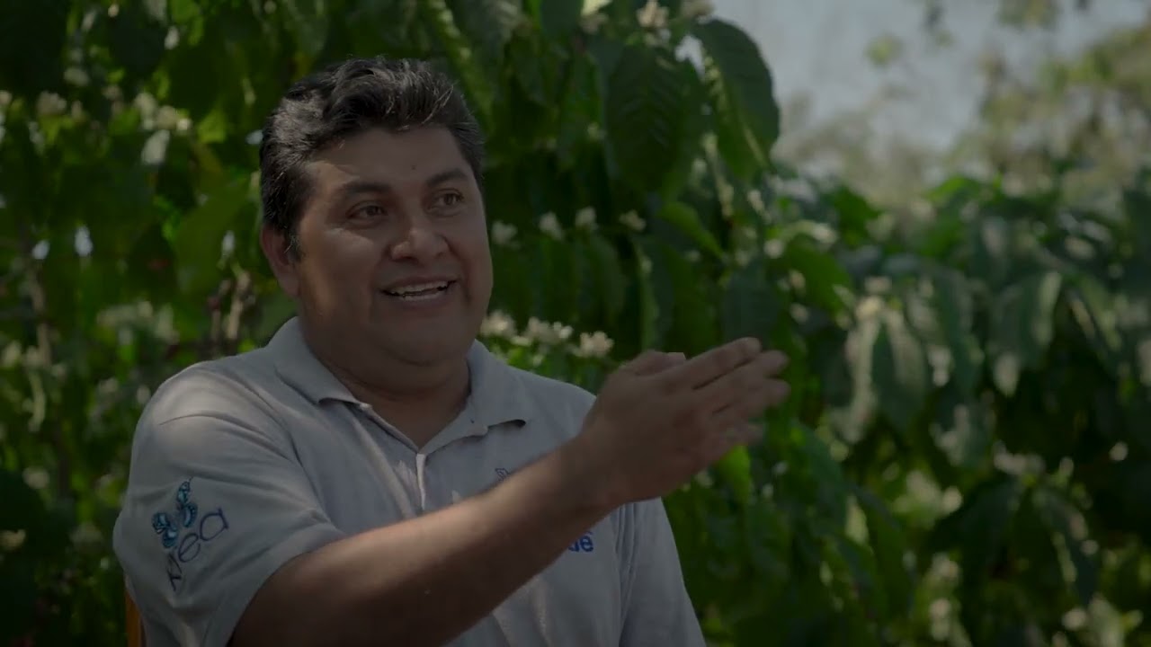 Documental Plan Nescafé: Historias detrás de cada taza